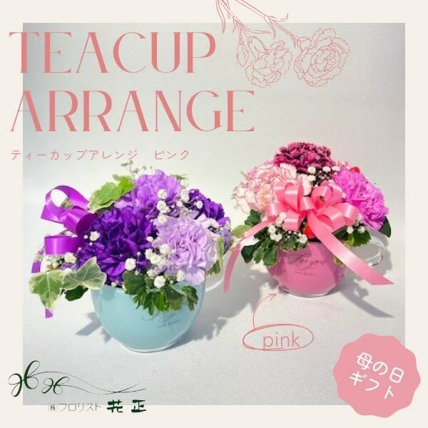 Rakuten - 母の日限定アレンジメント「ティーカップアレンジ ピンク」ムーンダスト カーネーション 生花 ギフト プレゼント 贈り物 感謝 ありがとう マザーズデー