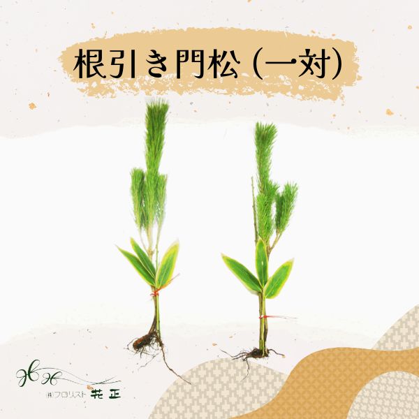門松 『根引き門松(1対)2つ』 お正月 手作り 配送日指定 送料無料 正月飾り 新年 迎春準備 かどまつ