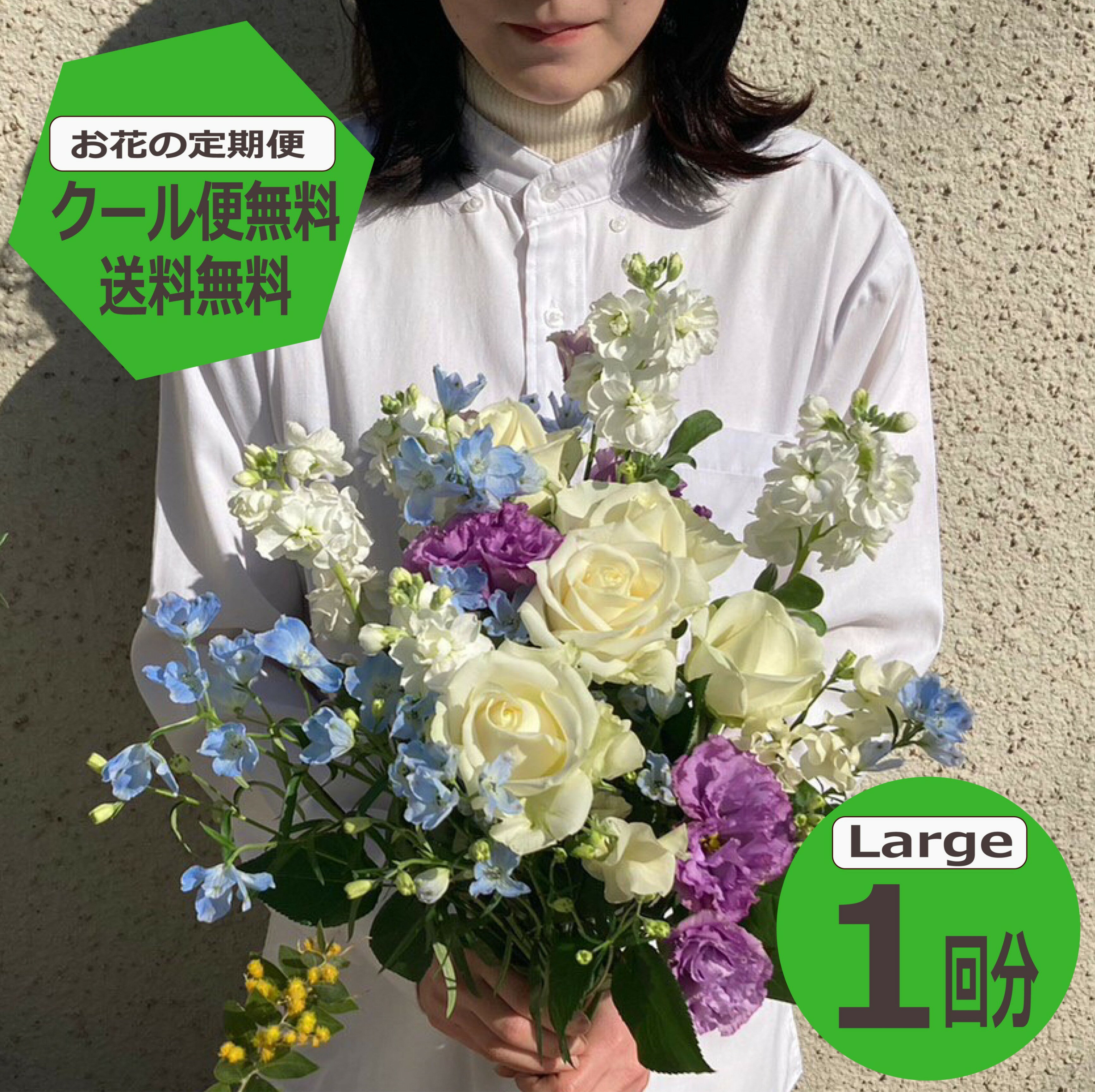 【0のつく日ポイント10倍】 【送料無料】 【お花の定期便】 Largeサイズ 1回分 季節のお花を毎月お届け フラワーサブスク 生花 ミニブーケ 花束 ギフト 誕生日 記念日 プレゼント 花のある暮らし おしゃれ フラワーアレンジメント ハロウィンのサムネイル