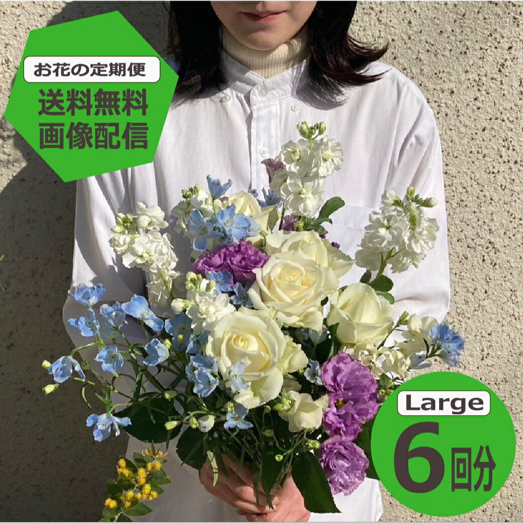 【送料無料】 【お花の定期便】 Largeサイズ 6回分 季節のお花を毎月お届け フラワーサブスク 生花 ミニブーケ 花束 ギフト 誕生日 記念日 プレゼント 花のある暮らし フラワーアレンジメント