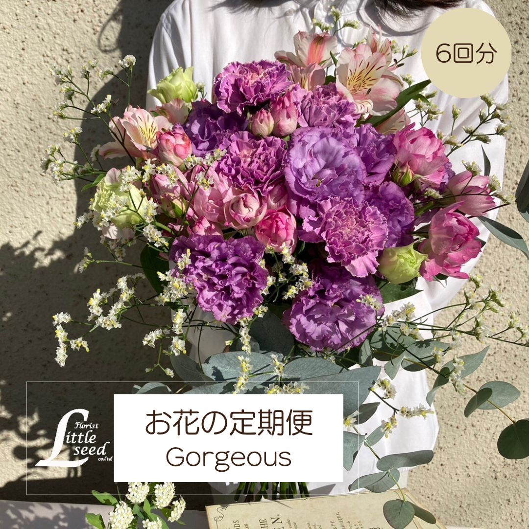 お花の定期便　6回分　半年　6ヶ月　Gorgeous　ゴージャス　サブスク　花束　ブーケ　おまかせブーケ　自宅用　月命日　送料無料　リトルシードの定期便　フローリスト　リトルシード　Florist　Littleseed