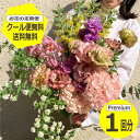 【15日0:00-23:59迄200円OFFクーポン配布中】 【クール便無料】【送料無料】【お花の定期便】Premiumサイズ 1回分 季節のお花を毎月お届け フラワーサブスク 生花 ミニブーケ 花束 ギフト 誕生日 記念日 プレゼント 花のある暮らし おしゃれ フラワーアレンジメント