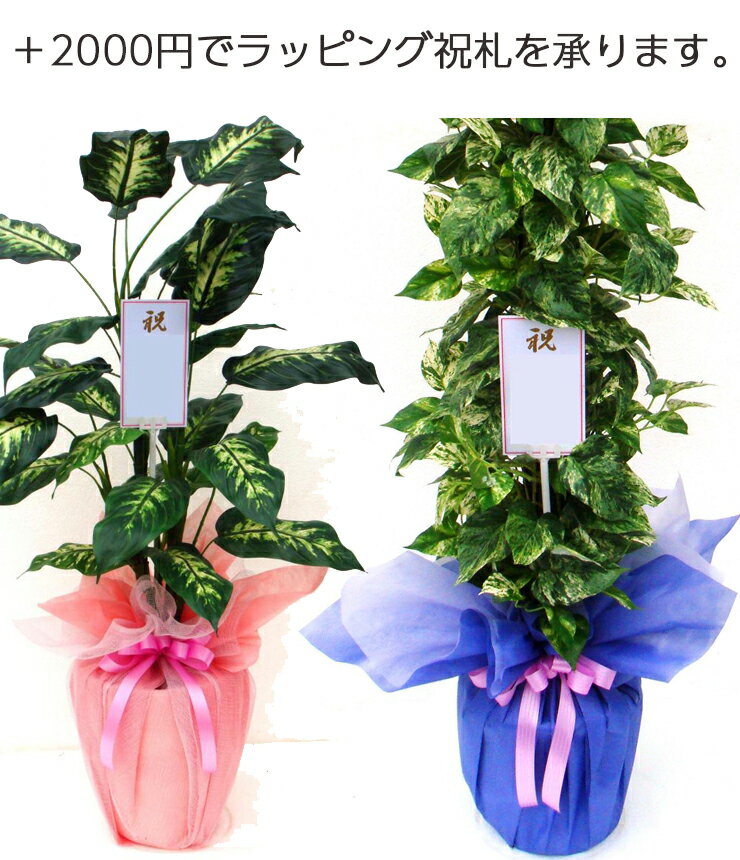 【人工観葉植物】ヤマモミジ 紅 200 (器:ツリー8(BK)) 91774｜フェイクグリーン イミテーション インテリア 和風 造花　観葉植物 大型　観葉植物 おしゃれ　観葉植物 インテリア 《2018ds》