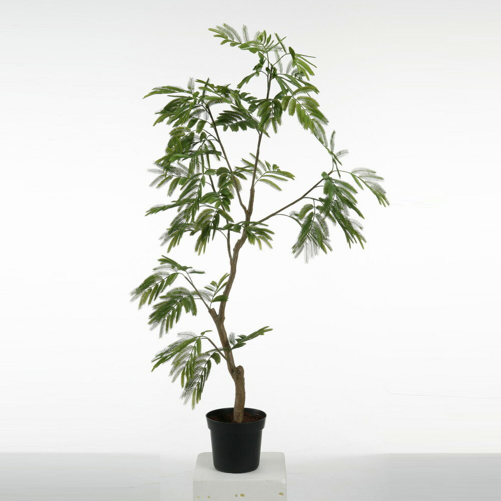 ランキング１位受賞 観葉植物 P47 エバー フレッシュポット 1 5m ポットカバーcv0002 L 付 vk 人工観葉植物 フェイクグリーン イミテーション インテリア 開店祝 新築祝 敬老の日 造花 大型 観葉植物 おしゃれ 観葉植物 インテリア 送料無料 売り尽くし価格