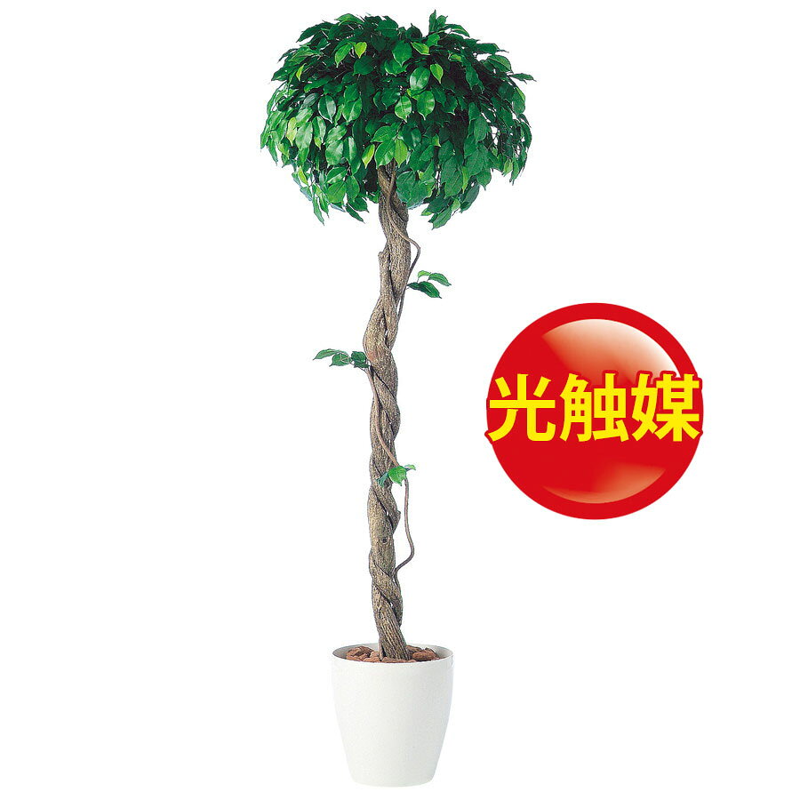 新品価格は安く スーパーsale対象 人工観葉植物 光触媒 フィッカスベンジャミナシングル 観葉植物 0 器 Rp 370 リボン フェイクグリーン ランドセル ラッピングペーパー イミテーション インテリア 開店祝 オフィス 観葉植物 大型 観葉植物 おしゃれ 観葉