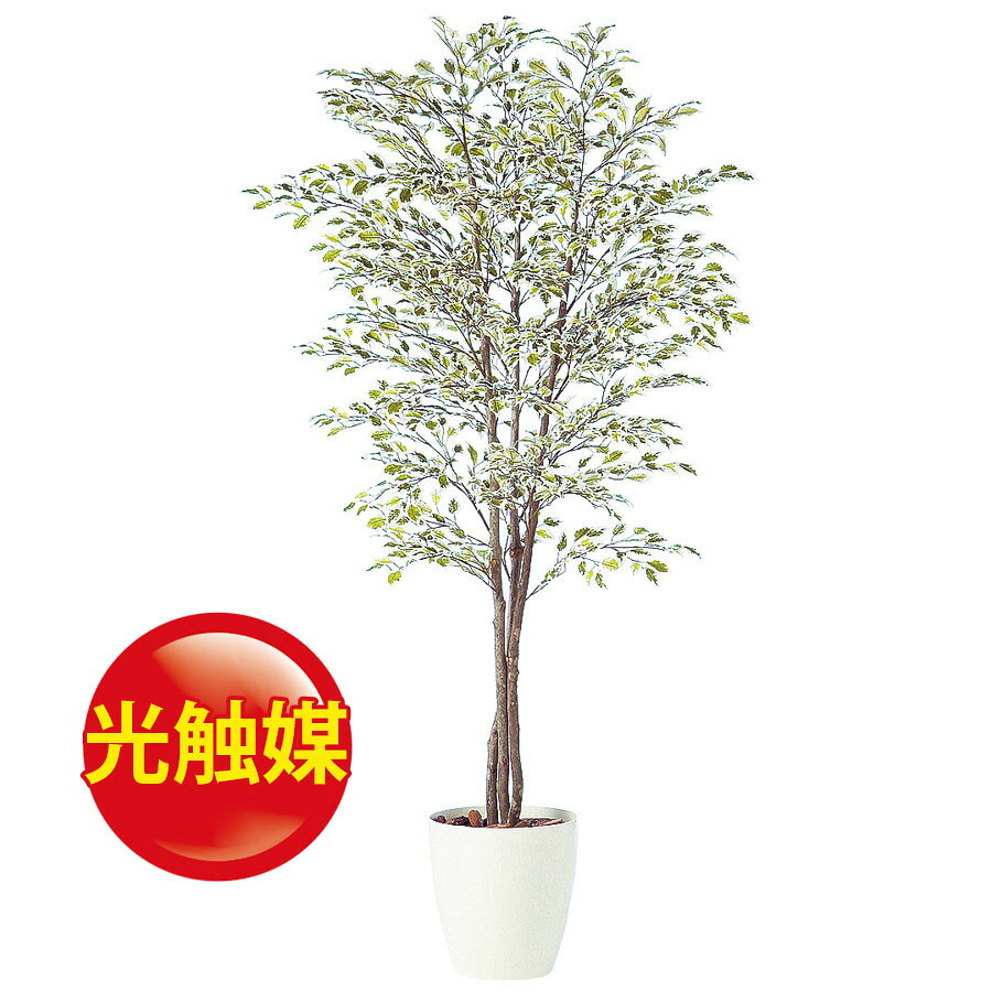 新色登場 人工観葉植物 光触媒 ベンジャミナスターライトトリプル 180 器 Rp 300 フェイクグリーン イミテーション インテリア 開店祝 オフィス 観葉植物 大型 観葉植物 おしゃれ 観葉植物 インテリア 18ds 激安 即納 Cryptotrade Topxteriors Com
