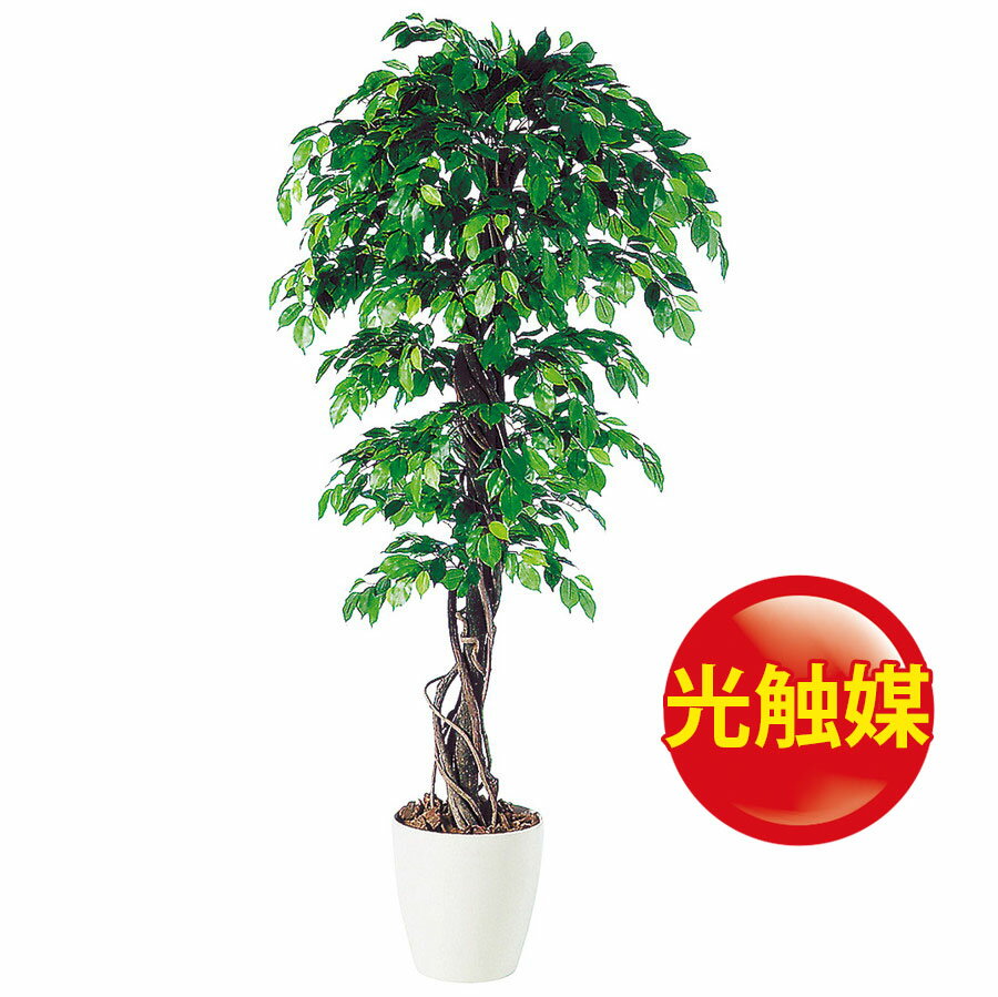 本日超得 人工観葉植物 光触媒 フィッカスベンジャミナリアナ 180 器 Rp 300 フェイクグリーン イミテーション インテリア 開店祝 オフィス 観葉植物 大型 観葉植物 おしゃれ 観葉植物 インテリア 18ds ラッピング無料 Vubwv Org 本日超得 人工観葉植物 光触媒 フィッカスベンジャミナリアナ 180 器 Rp 300 フェイクグリーン イミテーション インテリア 開店祝 オフィス 観葉植物 大型 観葉植物 おしゃれ 観葉植物 インテリア 18ds ラッピング無料 Vubwv Org