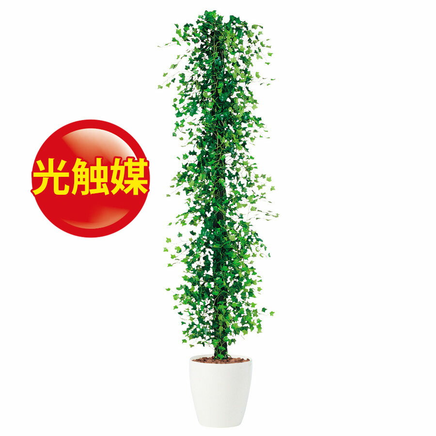 メール便なら送料無料 人工観葉植物 光触媒 ミニアイビー ヘゴ 150 器 Rp 265 フェイクグリーン イミテーション インテリア 開店祝 オフィス 店舗 造花 観葉植物 大型 観葉植物 おしゃれ 観葉植物 インテリア 18ds 新着商品 Bitcoinsup Topxteriors Com メール便なら送料無料 人工観葉植物 光触媒 ミニアイビー ヘゴ 150 器 Rp 265 フェイクグリーン イミテーション インテリア 開店祝 オフィス 店舗 造花 観葉植物 大型 観葉植物 おしゃれ 観葉植物 インテリア 18ds 新着商品 Bitcoinsup Topxteriors Com