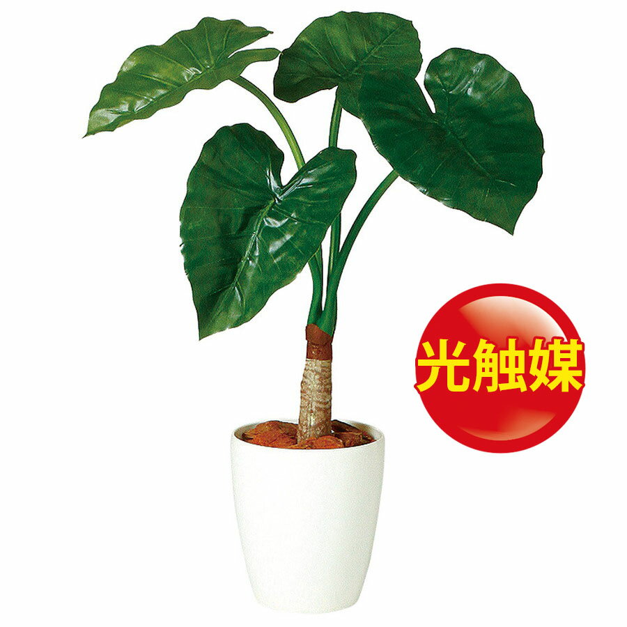絶妙なデザイン 人工観葉植物 光触媒 70 クワズイモ シングル 70 オフィス 器 Rp 185 造花 984 フェイクグリーン イミテーション インテリア オフィス 店舗 造花 おしゃれ 観葉植物 大型 観葉植物 おしゃれ 観葉植物 インテリア 18ds スチームボート アメリカーナ 絶妙なデザイン 人工観葉植物 光触媒 70 クワズイモ シングル 70 オフィス 器 Rp 185 造花 984 フェイクグリーン イミテーション インテリア オフィス 店舗 造花 おしゃれ 観葉植物 大型 観葉植物 おしゃれ 観葉植物 インテリア 18ds スチームボート アメリカーナ