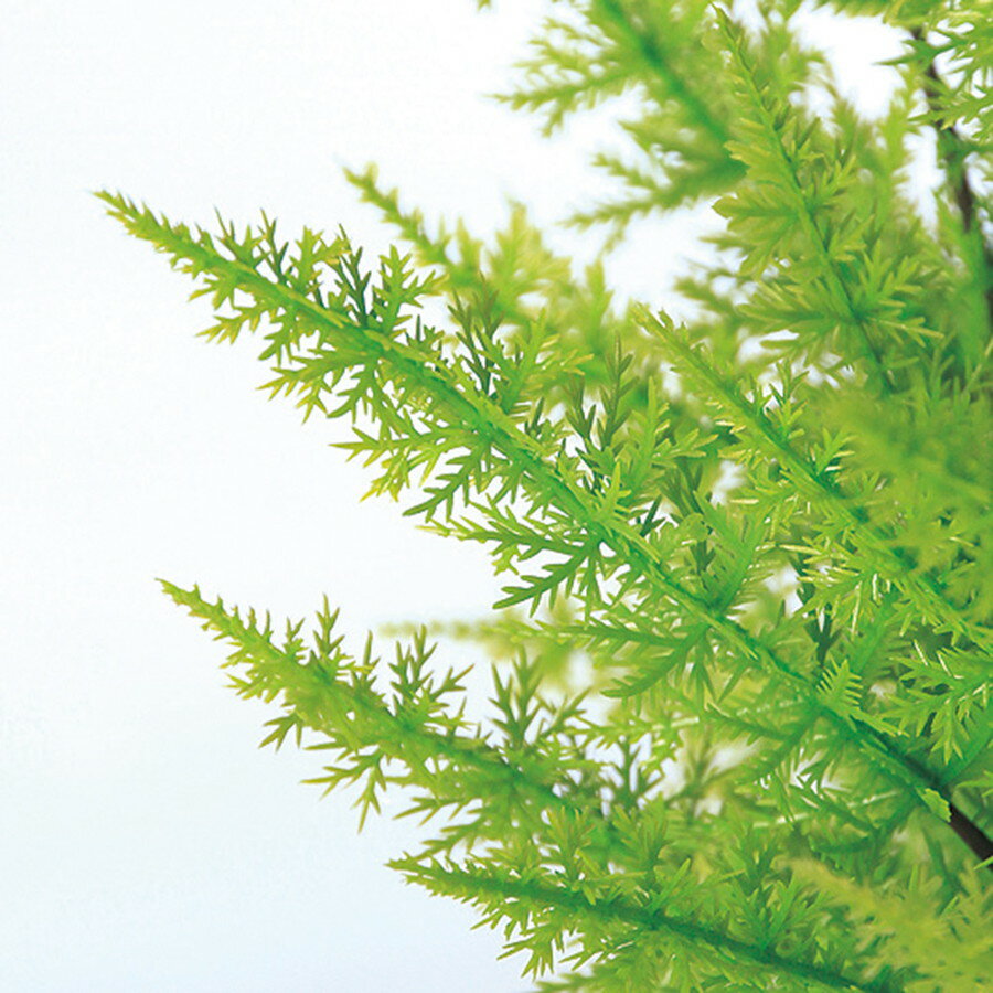 スーパーsale対象 人工観葉植物 光触媒 ゴールドクレスト ツリー 110 器 Rp 225 9 フェイクグリーン イミテーション インテリア オフィス 店舗 造花 観葉植物 大型 観葉植物 おしゃれ スーパーsale対象 人工観葉植物 光触媒 ゴールドクレスト ツリー 110 器 Rp 225 9 フェイクグリーン イミテーション インテリア オフィス 店舗 造花 観葉植物 大型 観葉植物 おしゃれ