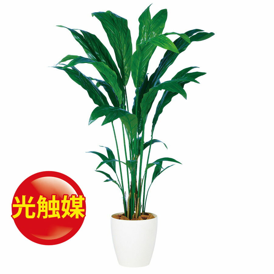 【人工観葉植物】光触媒チャメドレア160(器:RP-300)98878|フェイクグリーンイミテーションインテリアオフィス店舗造花《2018ds》