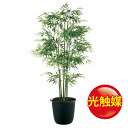 人工観葉植物　 光触媒 青竹5本立 180 (器:ツリー8(BK)) 91784｜フェイクグリーン イミテーション インテリア 和風 造花 天然 竹 お手入れ不要　観葉植物 大型　観葉植物 おしゃれ　観葉植物 インテリア 《2018ds》