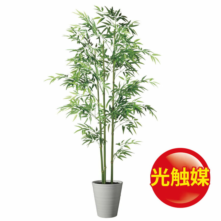 再入荷 人工観葉植物 光触媒 青竹３本立 150 器 Sa 10 Wh フェイクグリーン イミテーション インテリア 和風 造花 天然 竹 お手入れ不要 観葉植物 大型 観葉植物 おしゃれ 観葉植物 インテリア 18ds 21新作 Kisiiuniversity Ac Ke