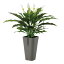 人工観葉植物 スパティフラム PE MIX (器:Jena 6(BK)) 91647 |フェイクグリーン イミテーション インテリア オフィス 店舗 造花 カジュアルポット 観葉植物 大型 観葉植物 おしゃれ 観葉植物 インテリア 《2018ds》