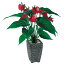 人工観葉植物 アンスリュウム (器:Pスクエア(BK)) 91476|フェイクグリーン イミテーション インテリア オフィス 店舗 造花 人工 お手入れ不要 観葉植物 ミニ 観葉植物 おしゃれ 観葉植物 インテリア 《2018ds》