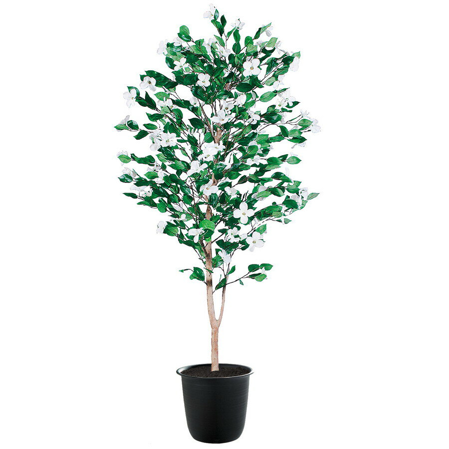 毎回完売 人工観葉植物 ハナミズキ 180 器 ツリー7 Bk フェイクグリーン イミテーション インテリア 和風 造花 お手入れ不要 観葉植物 大型 観葉植物 おしゃれ 観葉植物 インテリア 18ds 保存版 Www Declicgestion Fr