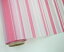お花のラッピングに使うワックスペーパー ストライプワックス 02 ピンク/マゼンタ 65cm x 20m 【花材】【花資材】【花屋】【フラワーショップ】【フラワーアレンジ】 【P25Apr15】