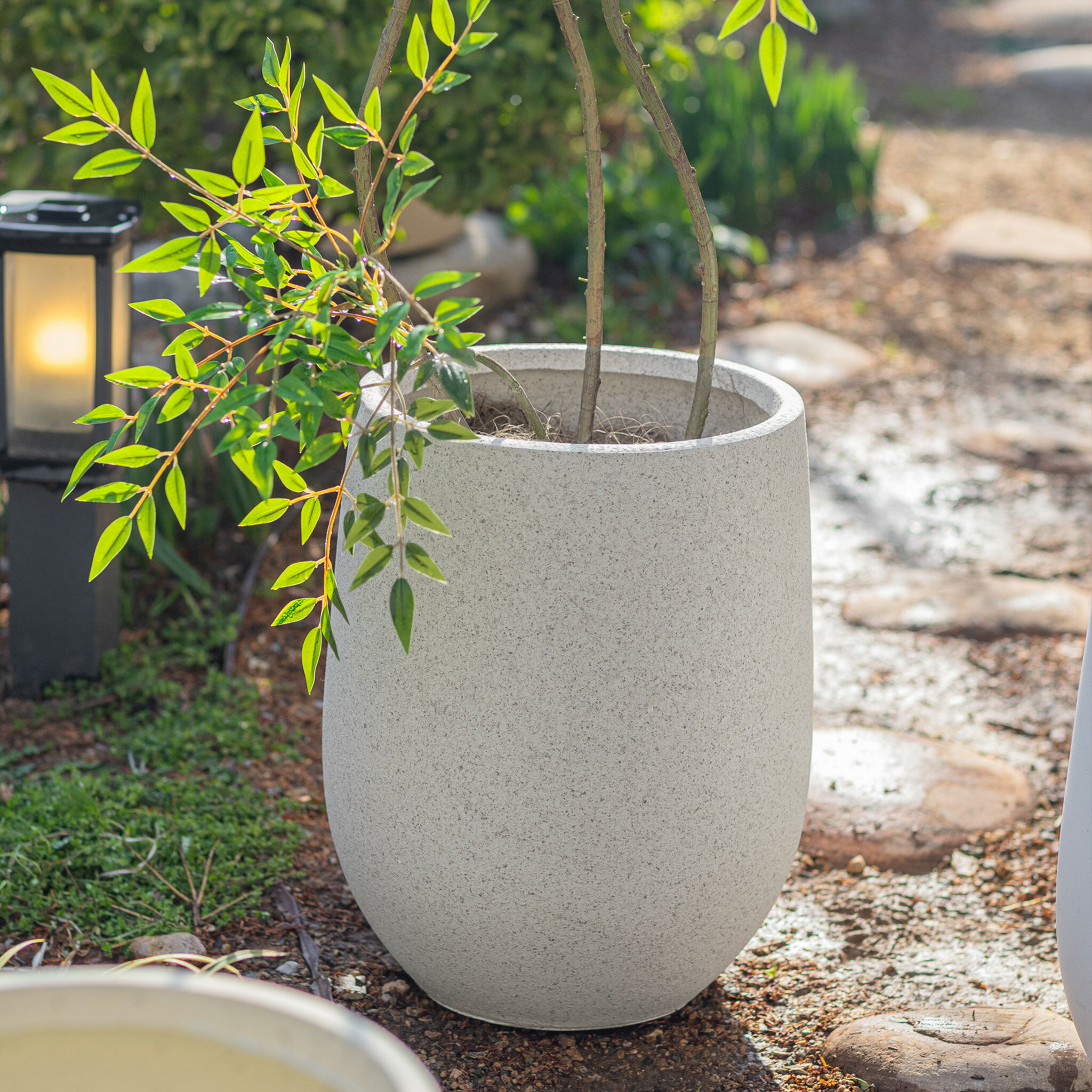 Rakuten - 植木鉢 北欧風 プランター 観葉植物用 大型 方形 軽量 深型 穴付き おしゃれ 室内 屋外対応 耐候性 フラワーポット ガーデンポット コンクリート風