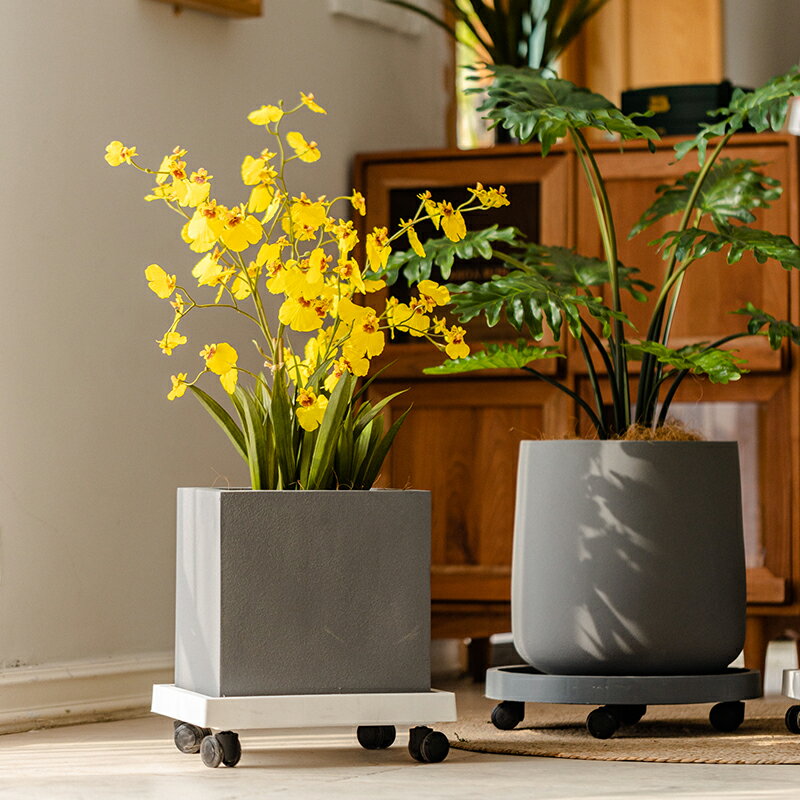 Rakuten - TC40204-