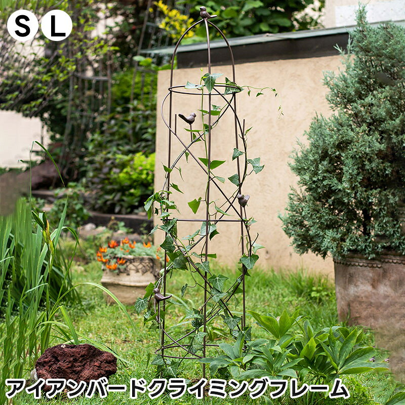 ty06153r.jpg