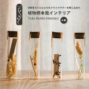【送料無料】 ハーバリウム 植物標本 インテリア ドライフラワー 試験管 小さなドライフラワー サイエンスアート アート お洒落 可愛い ヴィンテージ ガラスボ...