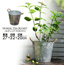 【期間限定10%OFFクーポン】【送料無料】 ノルディックブリキバケツ 網持ち手付き シンプル 北欧風 ガーデニング インダストリアル 亜鉛メッキバケツ アンテ...