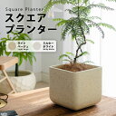 【期間限定10%OFFクーポン】【送料無料】プランター 正方形マグネシウムプランター北欧 プラスチック 樹脂 大型 おしゃれ 植木鉢 大きい 室内 屋外 カバー...