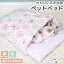 ペットベット 猫 小型犬 おふとん まくら 2点セット かわいい おしゃれ ペットグッズ 寝床 寝袋 クッション ねこ ネコ いぬ イヌ ふわふわ もぐる ユニーク 枕カバー 洗える 春夏 秋冬 オールシーズン キャットハウス 総柄 お菓子柄 アニマル柄 馬 王冠柄 クラウン 1,690円
