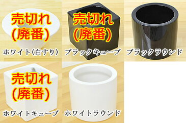 【送料無料】観葉植物ミニ ハイドロカルチャースタイリッシュ陶器鉢付き 4鉢セット【インテリア/人気/お祝い/ギフト/プレゼント/おしゃれ/スタイリッシュ/ミニ/水耕栽培/お試し/シンプルモダン/シック/和モダン/ナチュラル/アジアン/北欧/ブルックリン/モノトーン】