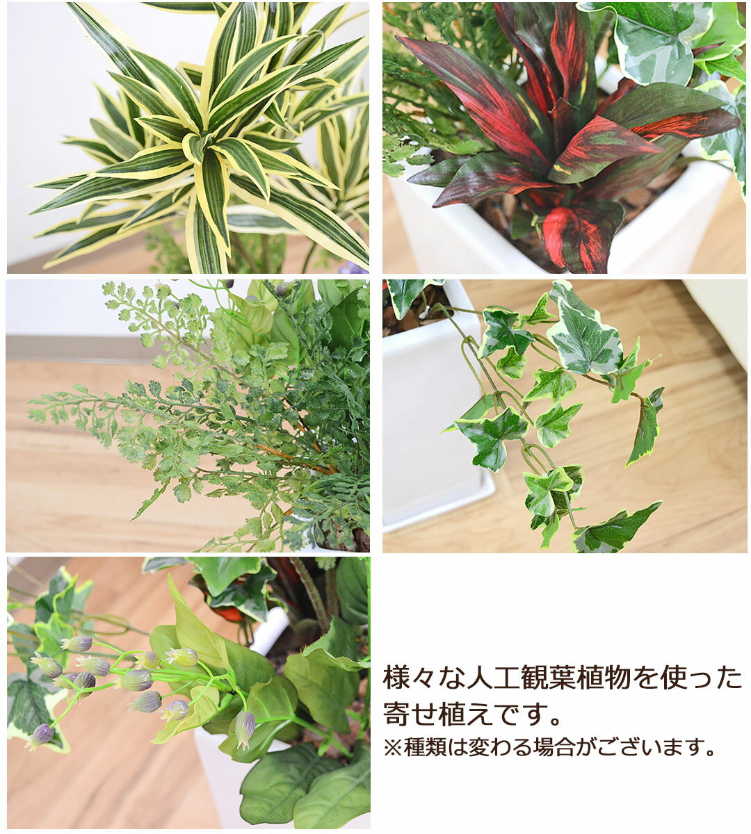 【送料無料】人工観葉植物 寄せ植え(ドラセナ・ソングオブインディア) 陶器鉢【造花/インテリア/フェイクグリーン/人気/お祝い/ギフト/プレゼント/開店祝い/新築祝い/誕生日祝い/結婚祝い/おしゃれ/スタイリッシュ/大型】