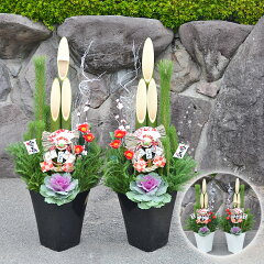 https://thumbnail.image.rakuten.co.jp/@0_mall/flower-corp/cabinet/02506016/imgrc0074515053.jpg