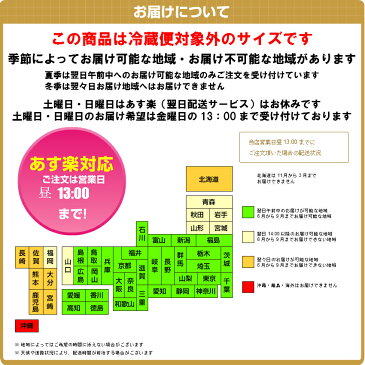 【 お供え 花 アレンジメント 花束 】 お盆 お悔やみ 法事 供花 葬式 通夜 彼岸 新盆 初盆 四十九日 一周忌 ペット あす楽 法事 仏事 命日 新盆 初盆 お盆 命日フラワー 【楽ギフ_メッセ入力】