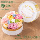遅れてごめんね 母の日 【 フラワーケーキ Sサイズ 】 花 ギフト 誕生日 春 退職 プレゼント フラワーボックス アレンジメント フラワー バラ カーネーシ...
