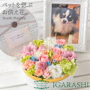 【 お供え 花 ペット 】 フラワーケーキ Mサイズ ペットロス ペット用お供え ペットお供え お悔やみ お供え物 供養 アレンジメント 花 ギフト フラワーボ...