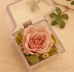 https://thumbnail.image.rakuten.co.jp/@0_mall/flower-jewel/cabinet/01600665/03180943/imgrc0090440293.jpg