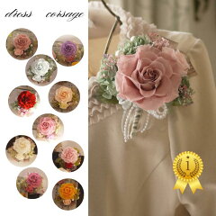 https://thumbnail.image.rakuten.co.jp/@0_mall/flower-jewel/cabinet/testsample01/imgrc0162782202.jpg