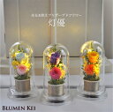 送料無料 お供え花 仏花 花 プリザーブドフラワー 灯優/メッセージカード無料 ギフト プレゼント LED 光る ろうそく 提灯 お盆 初盆 お供え お彼岸 ご...