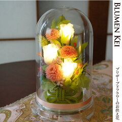 https://thumbnail.image.rakuten.co.jp/@0_mall/flower-k/cabinet/02072297/imgrc0062735906.jpg