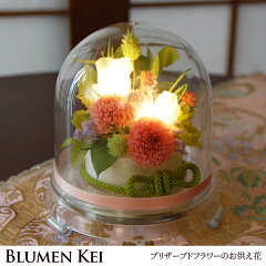 https://thumbnail.image.rakuten.co.jp/@0_mall/flower-k/cabinet/02072297/imgrc0062735907.jpg
