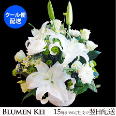 https://thumbnail.image.rakuten.co.jp/@0_mall/flower-k/cabinet/02072297/imgrc0064275397.jpg