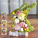 プリザーブドフラワー アニマルフラワー/花 メッセージカード プレゼント ギフト 結婚記念日 結婚祝い 誕生日 お祝い 女性 妻 アニマル 動物 かわいい フラワー 開店祝い 記念日 還暦 米寿 猫 ねこ 柴犬 犬 ふくろう うさぎ インテリア リビング