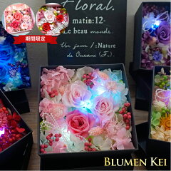 https://thumbnail.image.rakuten.co.jp/@0_mall/flower-k/cabinet/led/imgrc0068159176.jpg