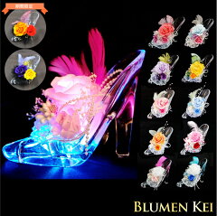 https://thumbnail.image.rakuten.co.jp/@0_mall/flower-k/cabinet/led/imgrc0069282419.jpg