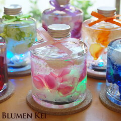 https://thumbnail.image.rakuten.co.jp/@0_mall/flower-k/cabinet/led/imgrc0071073746.jpg