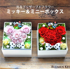 https://thumbnail.image.rakuten.co.jp/@0_mall/flower-k/cabinet/led/mkmnbox008.jpg