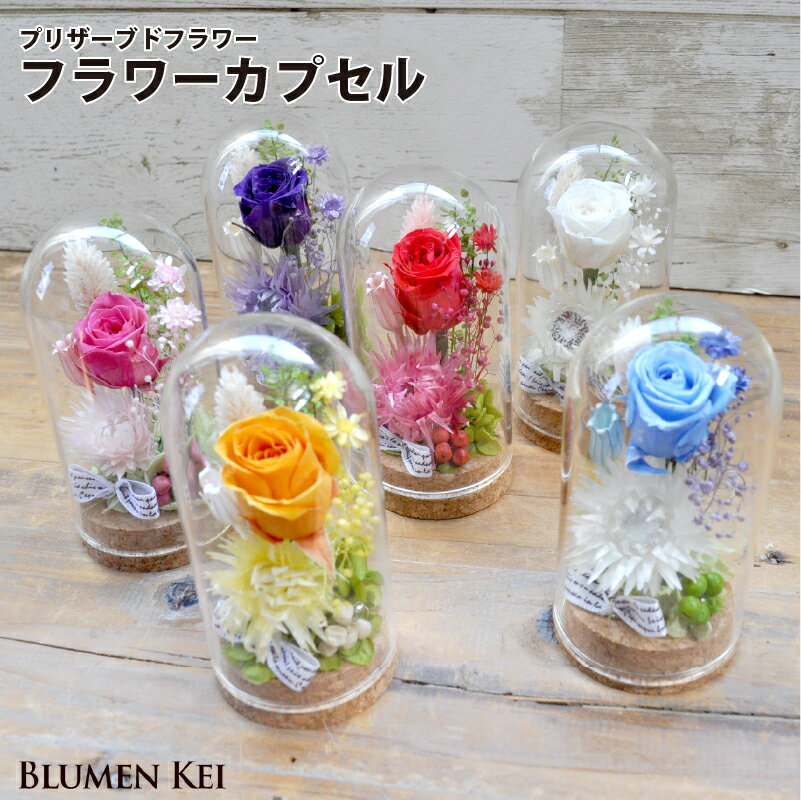 Rakuten - プリザーブドフラワー 花 フラワーカプセル／母の日 メッセージカード 結婚記念日 プレゼント ギフト 結婚祝い ウェディング 新郎 新婦 誕生日 プロポーズ お祝い 女性 妻 かわいい おしゃれ フラワー 開店祝い 入学祝い 卒業祝い バラ 御祝い メンバーカラー