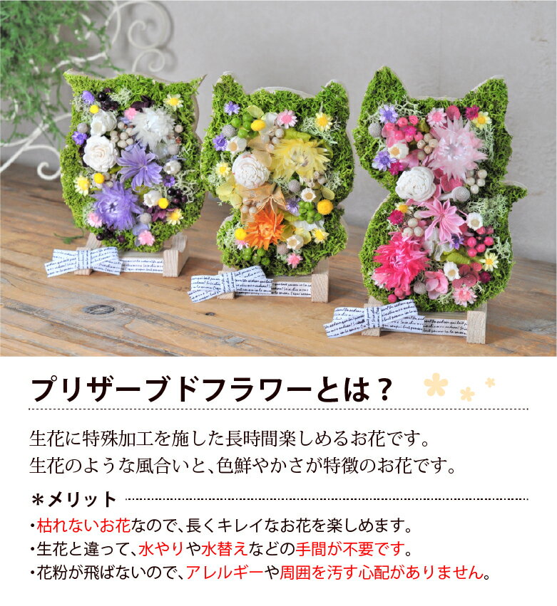 サンプル画像3