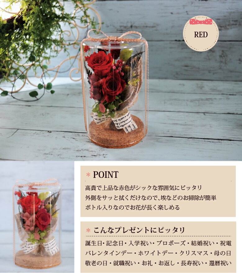 �ץꥶ���֥ɥե� �ܥȥ�֡����� ����� ���ꥹ�ޥ� �뺧��ǰ�� �ץ쥼��� ���ե� �뺧�ˤ� �����ǥ��� ��Ϻ ���� ������ �ץ��ݡ��� ���ˤ� ���� �� ���襤�� ������� �ե� ��Ź�ˤ� ���ؽˤ� ´�Ƚˤ� �Х� ��«