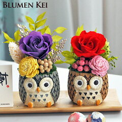 https://thumbnail.image.rakuten.co.jp/@0_mall/flower-k/cabinet/wa/imgrc0068878038.jpg