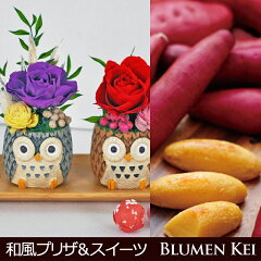 https://thumbnail.image.rakuten.co.jp/@0_mall/flower-k/cabinet/wreath/imgrc00775347999.jpg